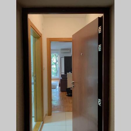 Renovated Cozy Studio 7 At Top Location - Available For Long Term Rentals 노비사드 외부 사진
