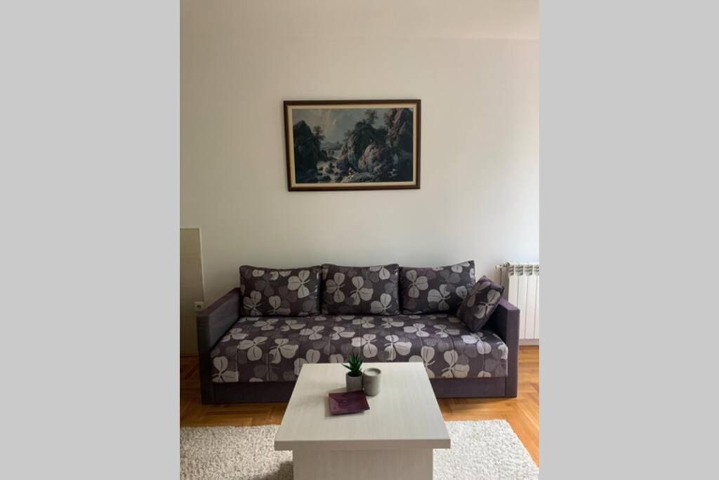 Renovated Cozy Studio 7 At Top Location - Available For Long Term Rentals 노비사드 외부 사진